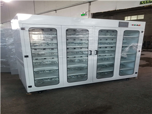 Constant temperature and humidity test chamber aging cabinet