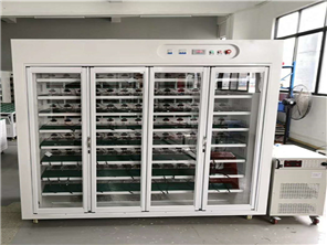 Intelligent power aging cabinet